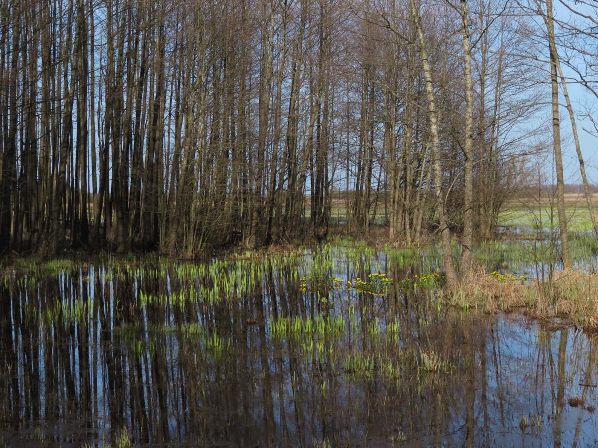 Noclegi Nad Biebrza Stara Szkola Wrocen Exterior photo