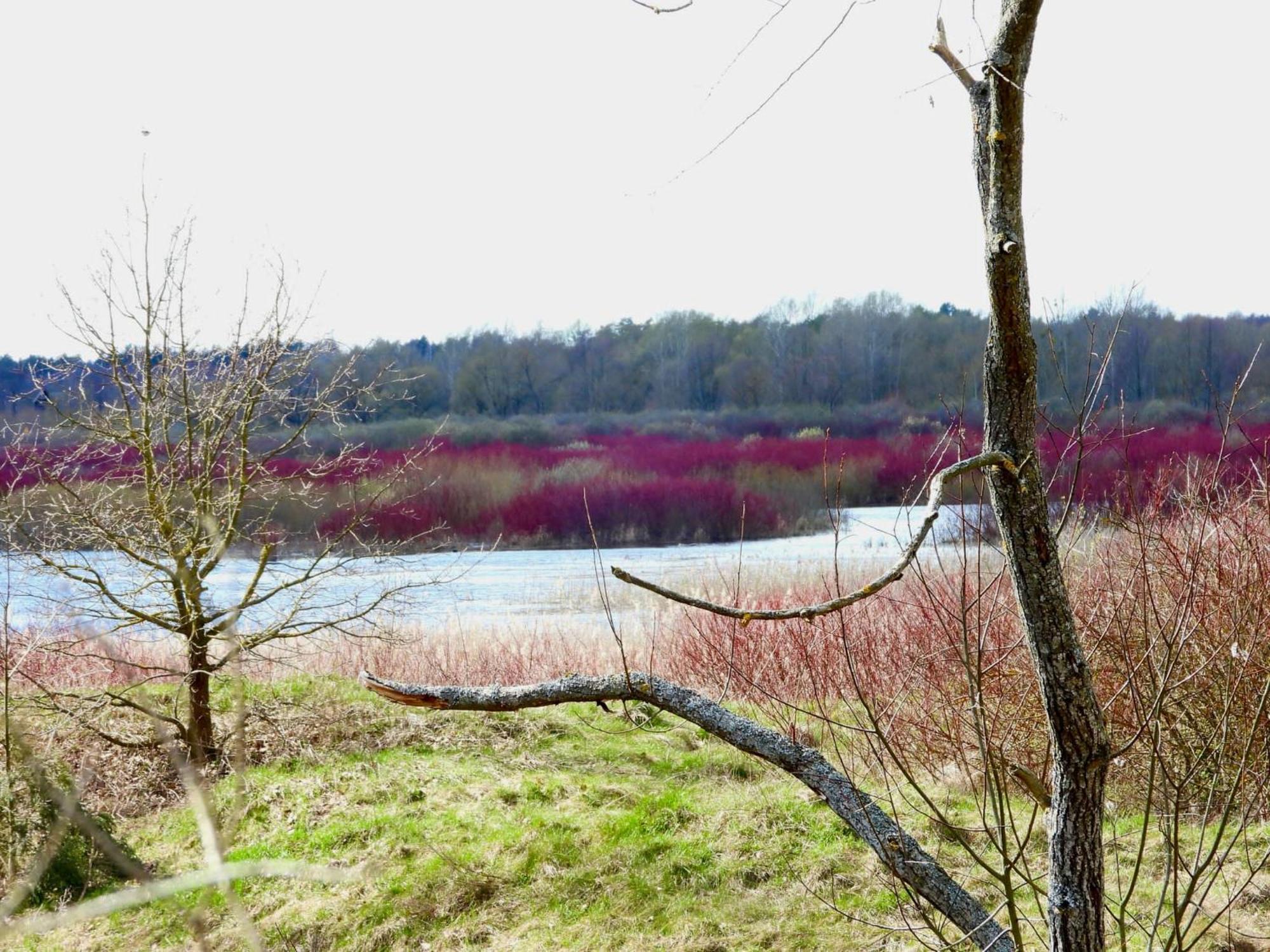 Noclegi Nad Biebrza Stara Szkola Wrocen Exterior photo
